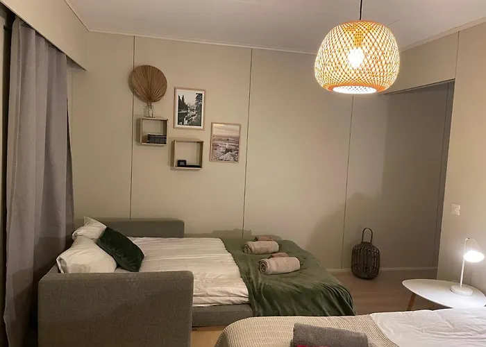 Viihtyisaeae Ja Helppoa 16 公寓 *